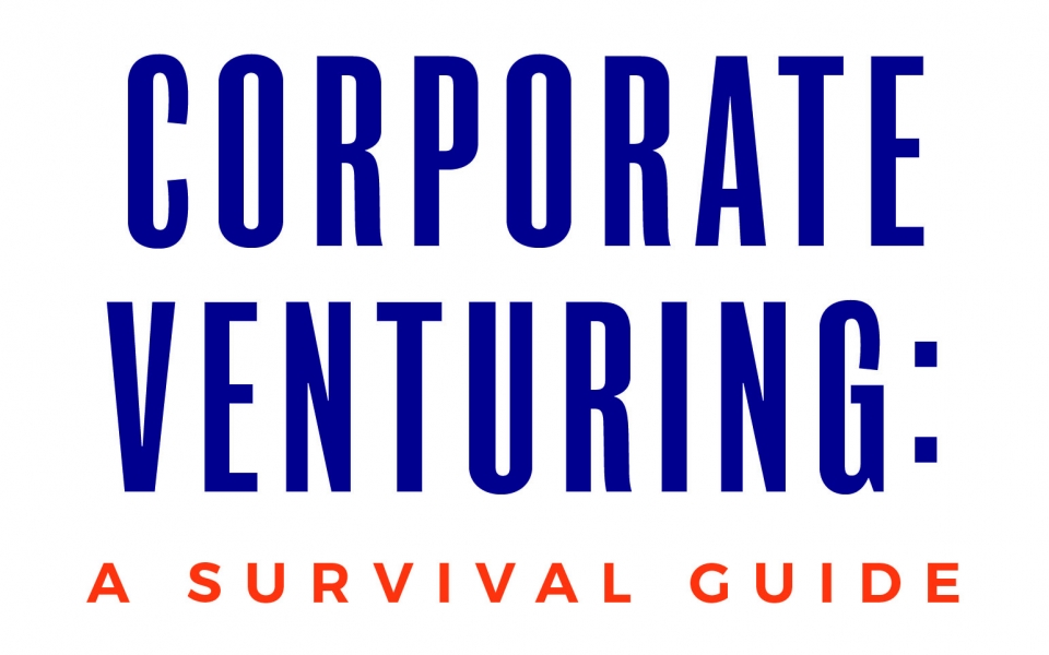 Corporate Venturing a Survival Guide